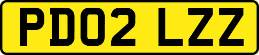 PD02LZZ