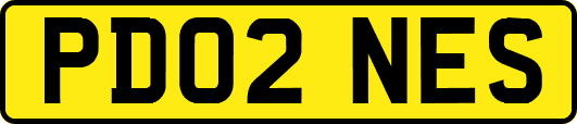 PD02NES
