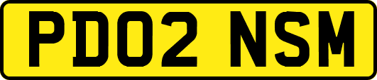 PD02NSM