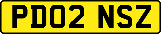 PD02NSZ