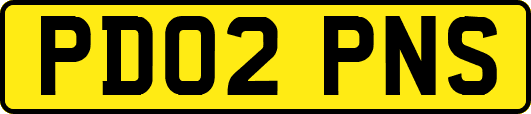 PD02PNS