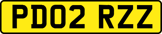 PD02RZZ