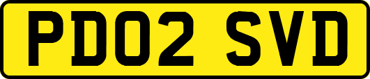 PD02SVD