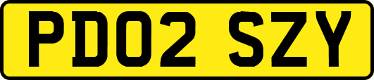 PD02SZY