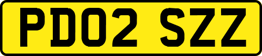 PD02SZZ