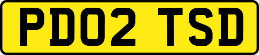 PD02TSD