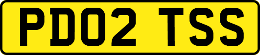 PD02TSS