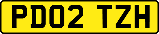 PD02TZH