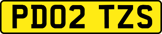PD02TZS