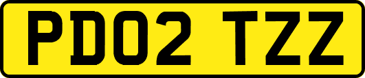PD02TZZ