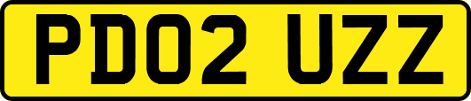 PD02UZZ