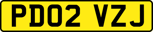PD02VZJ