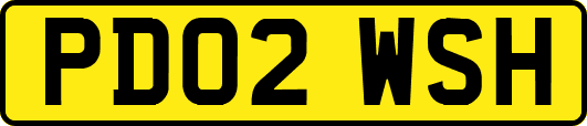 PD02WSH