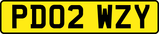 PD02WZY