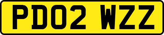 PD02WZZ