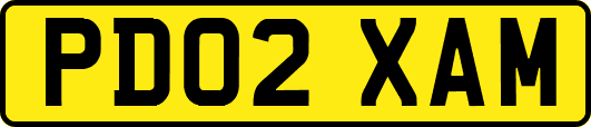 PD02XAM