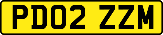 PD02ZZM