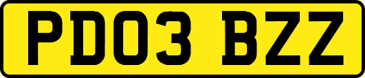 PD03BZZ