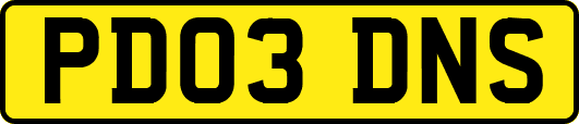 PD03DNS