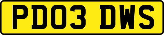 PD03DWS