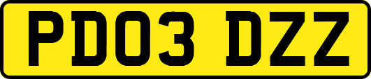 PD03DZZ