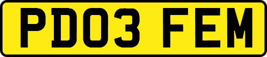 PD03FEM