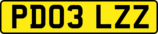PD03LZZ