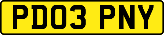 PD03PNY