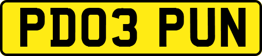 PD03PUN