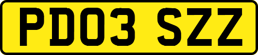 PD03SZZ