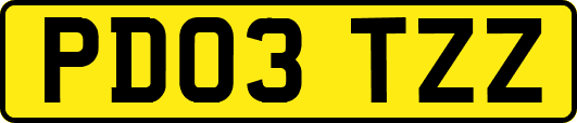 PD03TZZ