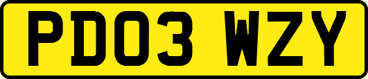 PD03WZY