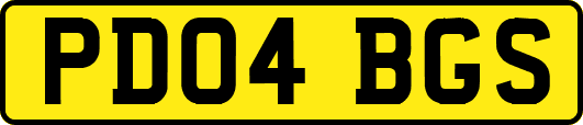 PD04BGS
