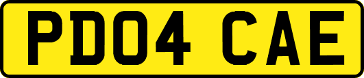 PD04CAE