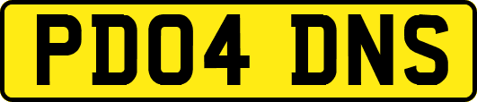 PD04DNS