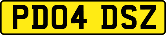 PD04DSZ