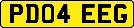 PD04EEG