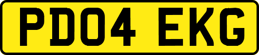 PD04EKG