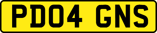 PD04GNS