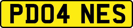 PD04NES