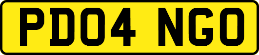 PD04NGO