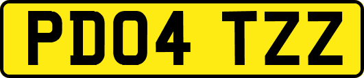 PD04TZZ