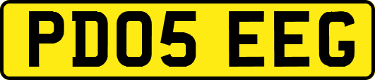 PD05EEG