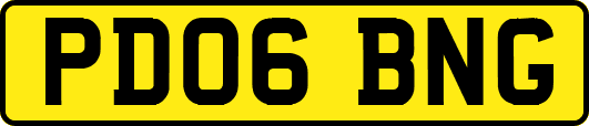 PD06BNG