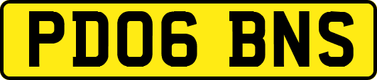 PD06BNS