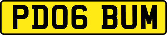 PD06BUM