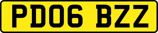 PD06BZZ