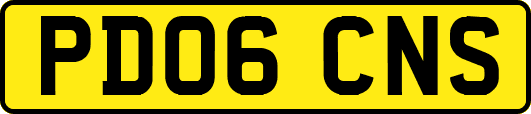 PD06CNS