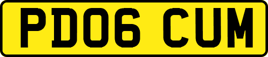 PD06CUM