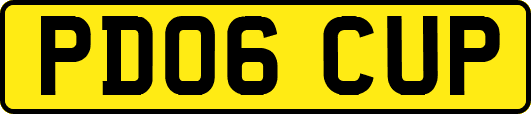 PD06CUP